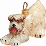 Wheaton Terrier Soft Coat Playing